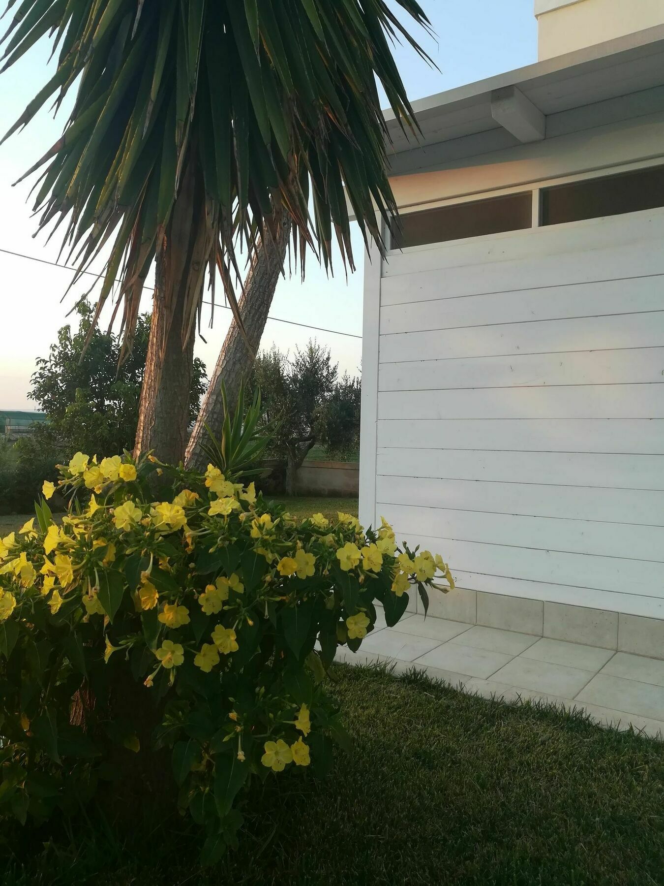 La Controra Guest House Фазано Екстериор снимка